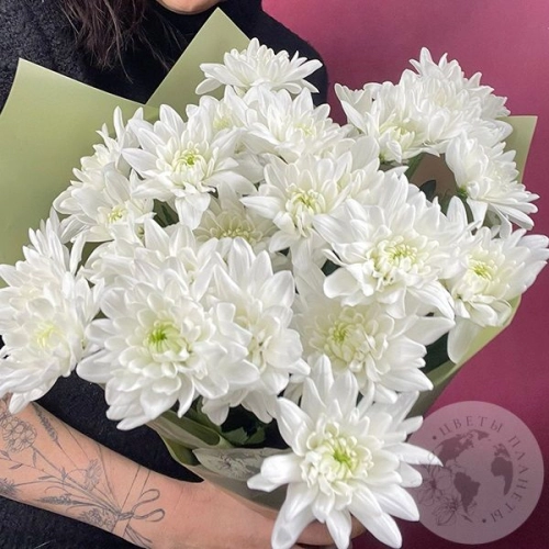 7 Хризантем кустовых белых