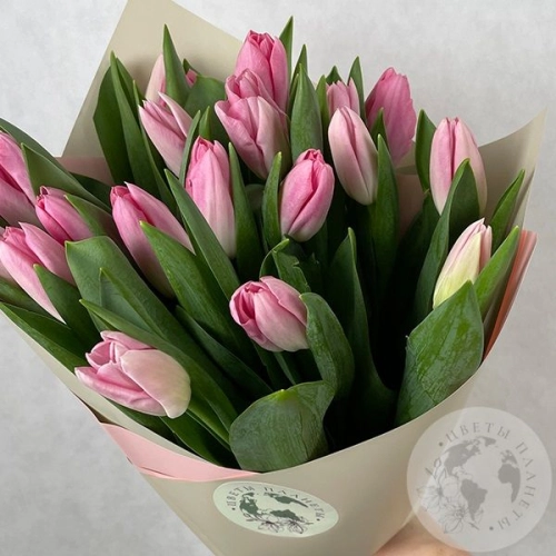 25 тюльпанов розовых в магазине Цветы Планеты
