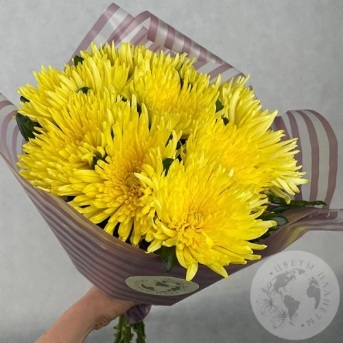 9 хризантем желтых в магазине Цветы Планеты