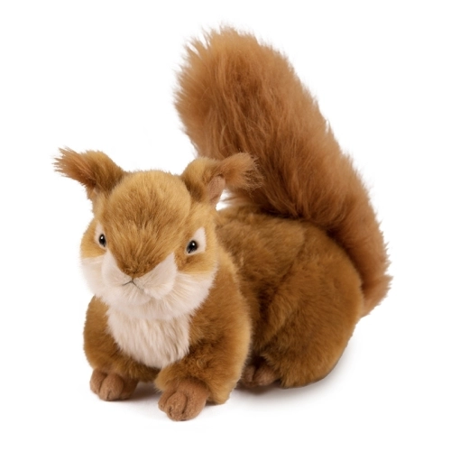 Мягкая игрушка Белочка, 20 см в магазине Цветы Планеты