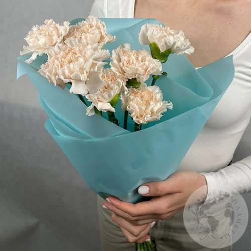 7 гвоздик персиковых