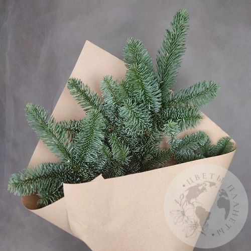 Подарки на Букет из нобилиса 1 ветка в магазине Цветы Планеты