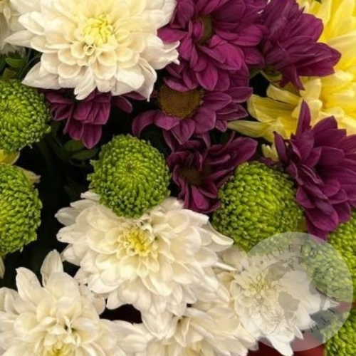Букет из кустовых и одноголовых хризантем в магазине Цветы Планеты Букет из кустовых и одноголовых хризантем в магазине Цветы Планеты