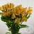 5 Альстромерий желтых