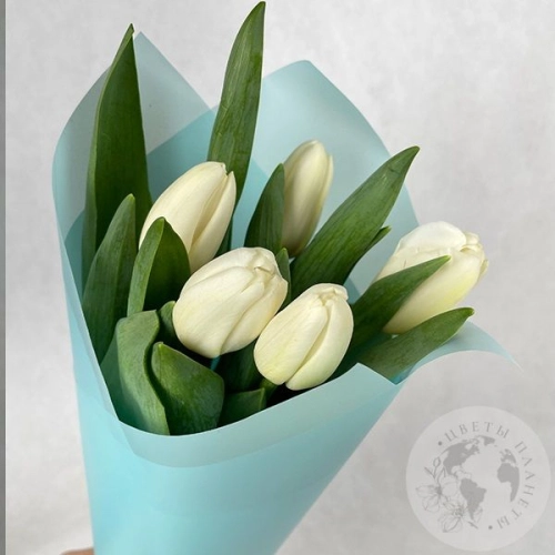 5 тюльпанов белых в магазине Цветы Планеты