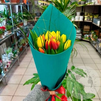 Букет из 15 тюльпанов  Букет из 15 тюльпанов