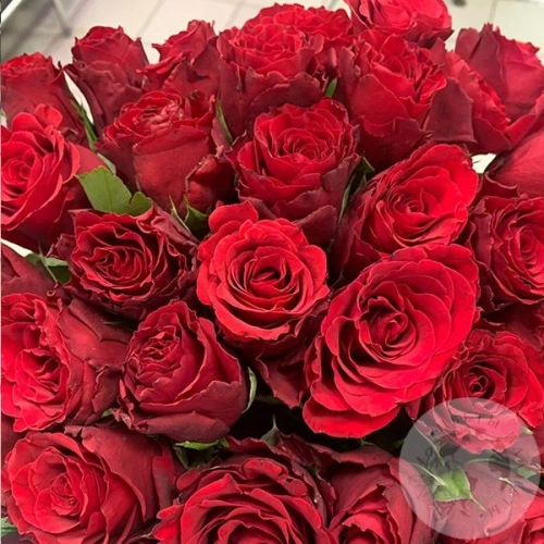 Букет красной розы 51 шт. 40 см. в магазине Цветы Планеты
