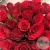 Букет красной розы 51 шт. 40 см. в магазине Цветы Планеты