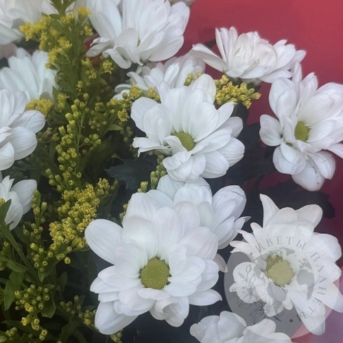 Букет из кустовых хризантем и солидаго в магазине Цветы Планеты