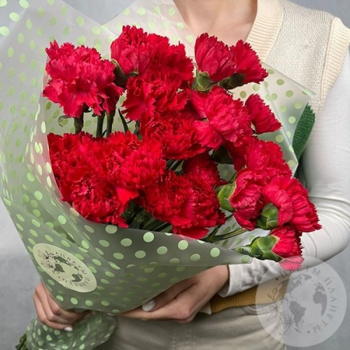 21 гвоздика красная в магазине Цветы Планеты 21 гвоздика красная
