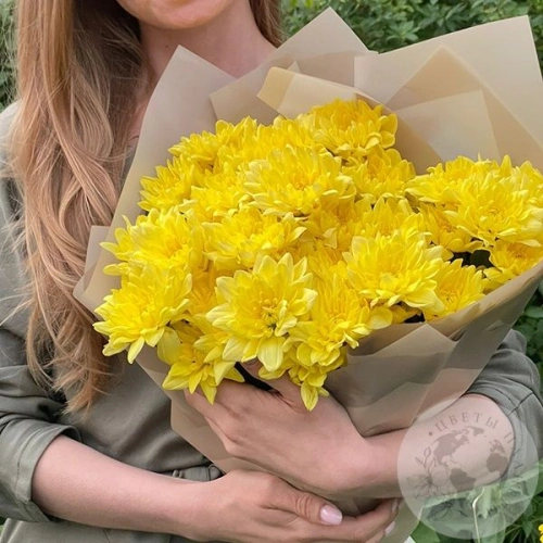 7 желтых кустовых хризантем