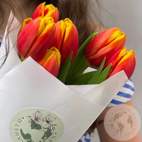 7 тюльпанов красно-желтых 7 тюльпанов красно-желтых в магазине Цветы Планеты