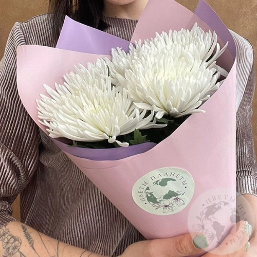 5 хризантем белых 5 хризантем белых в магазине Цветы Планеты