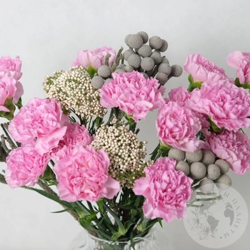 Букет из гвоздик "Настроение"