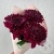 3 хризантемы бордовых в магазине Цветы Планеты 3 хризантемы бордовых