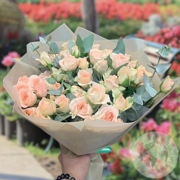 Букет из 19 кустовых роз и эвкалипта  Букет из 19 кустовых роз и эвкалипта