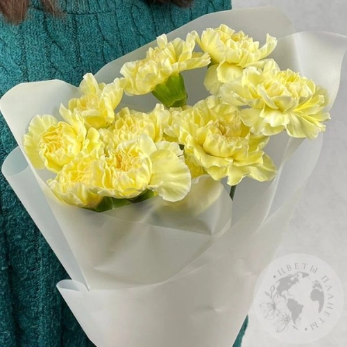 9 гвоздик желтых