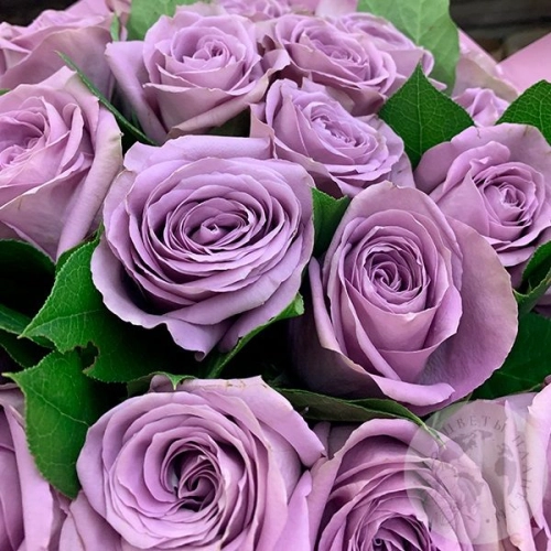 Букет 25 роз "Дари радость" в магазине Цветы Планеты