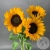 3 подсолнуха в магазине Цветы Планеты 3 подсолнуха