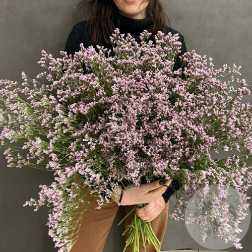 Лимониум 15 шт. в магазине Цветы Планеты