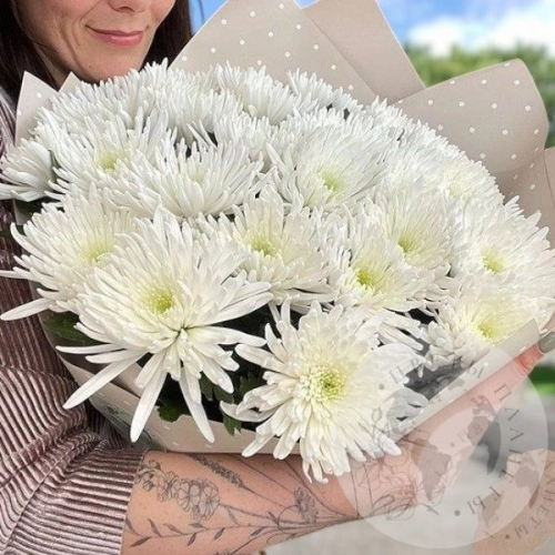 25 хризантем белых