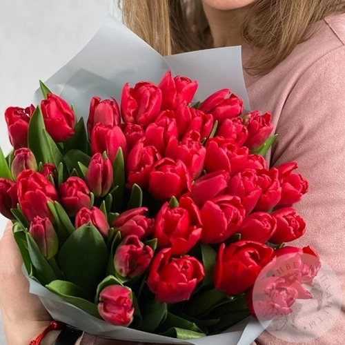 51 тюльпан красный в магазине Цветы Планеты