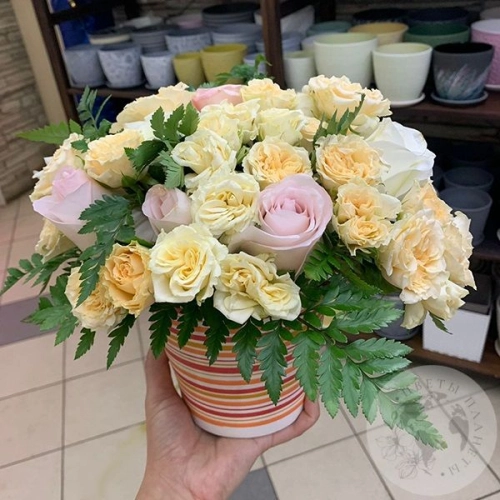 Композиция из роз в кашпо "Замечательная" в магазине Цветы Планеты