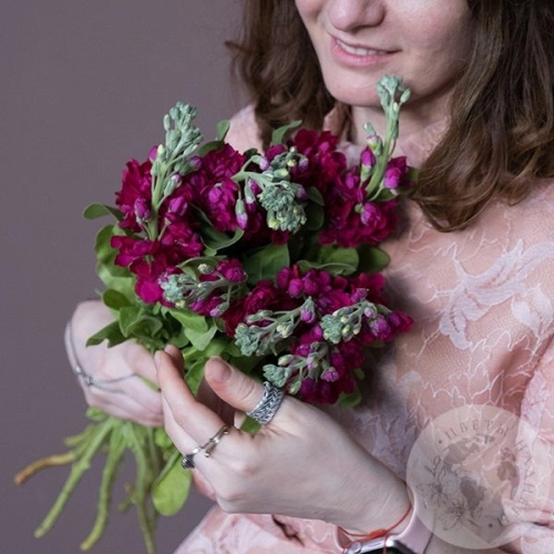 Маттиола красная 5 шт. в магазине Цветы Планеты