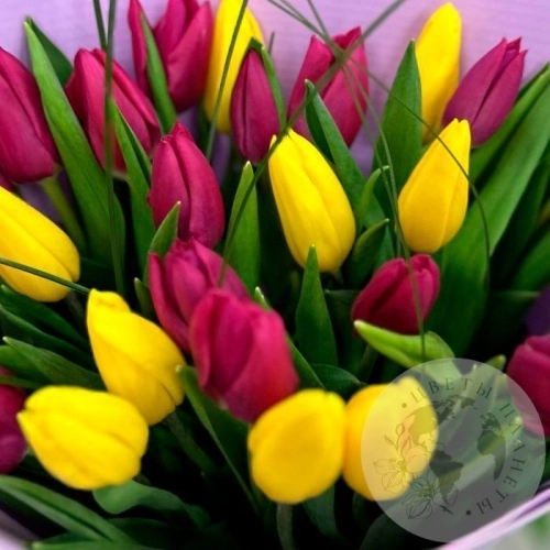 Букет из 25 тюльпанов микс в магазине Цветы Планеты