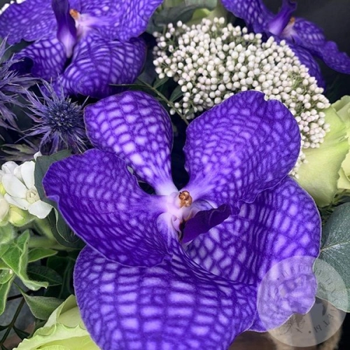 Композиция роз "Небеса" в магазине Цветы Планеты Композиция роз "Небеса" в магазине Цветы Планеты