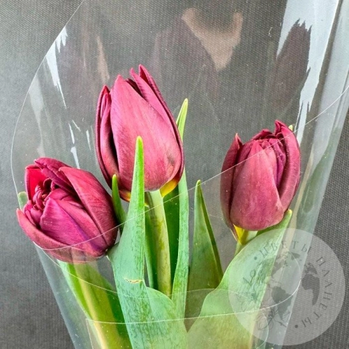 3 бордовых пионовидных тюльпана в магазине Цветы Планеты
