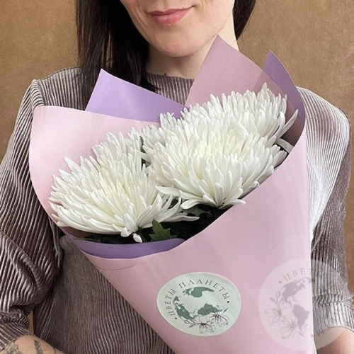 5 хризантем белых 5 хризантем белых в магазине Цветы Планеты