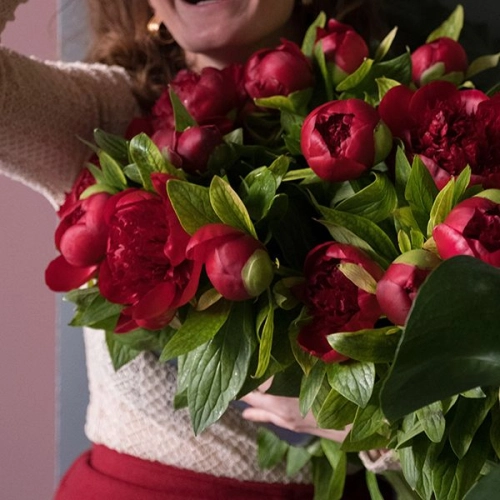 13 пионов бордовых в магазине Цветы Планеты