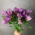9 Альстромерий фиолетовых