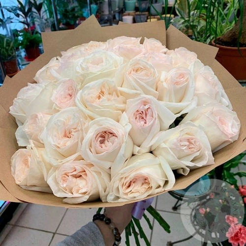 Букет из 25 пионовидных роз в магазине Цветы Планеты