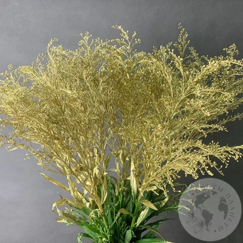 Солидаго Золото 9 шт. в магазине Цветы Планеты