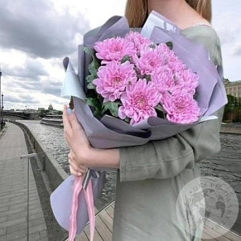 Букет из 9 розовых одноголовых хризантем  Букет из 9 розовых одноголовых хризантем
