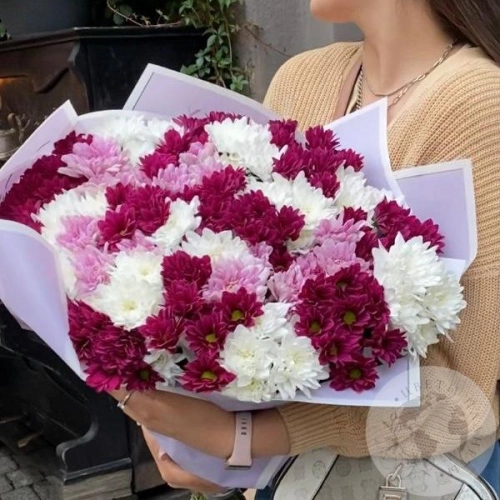Букет из 31 бордовой, розовой, белой кустовой хризантемы в магазине Цветы Планеты Букет из 31 бордовой, розовой, белой кустовой хризантемы в магазине Цветы Планеты