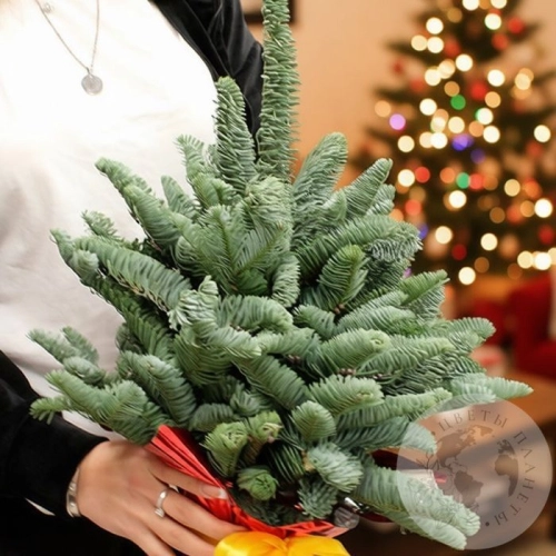 Новогодний букет из нобилиса "Елка" в магазине Цветы Планеты