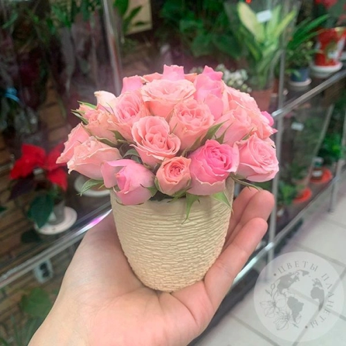 Композиция из роз в керамическом кашпо "Малышка" в магазине Цветы Планеты