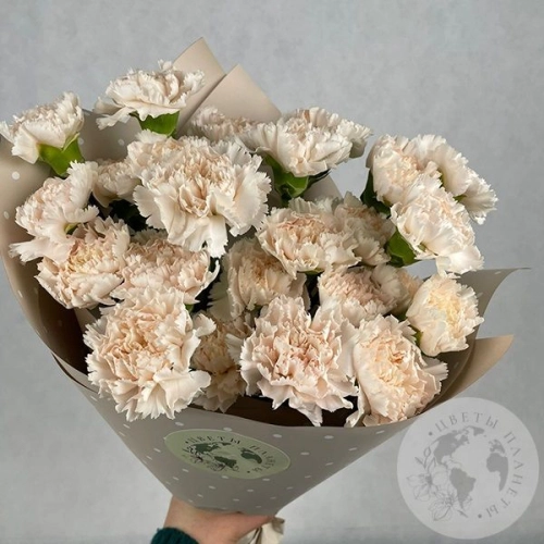 19 гвоздик персиковых в магазине Цветы Планеты 19 гвоздик персиковых