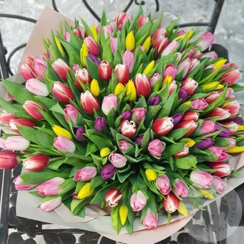 101 Тюльпан MIX 101 Тюльпан MIX в магазине Цветы Планеты