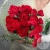 21 гвоздика красная в магазине Цветы Планеты 21 гвоздика красная