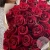 25 роз бордовых 60 см. 25 роз бордовых 60 см. в магазине Цветы Планеты