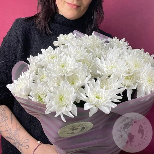 13 Хризантем кустовых белых