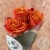 3 розы оранжевых 60 см. в магазине Цветы Планеты