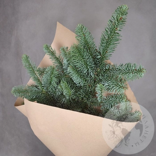 Подарки на Букет из нобилиса 1 ветка в магазине Цветы Планеты