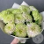 13 хризантем зеленых