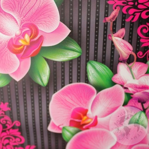 Пакет подарочный "Цветы" в магазине Цветы Планеты