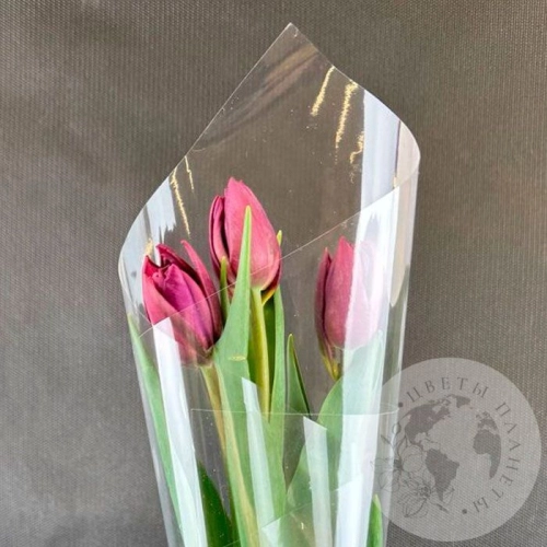 3 бордовых пионовидных тюльпана в магазине Цветы Планеты